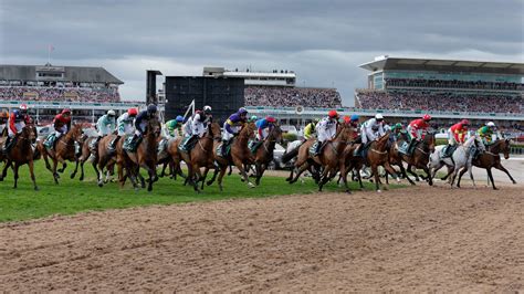 grand national odds
